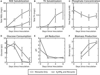 Metabolomic Analysis Reveals Contributions of Citric and Citramalic Acids to Rare Earth Bioleaching by a Paecilomyces Fungus